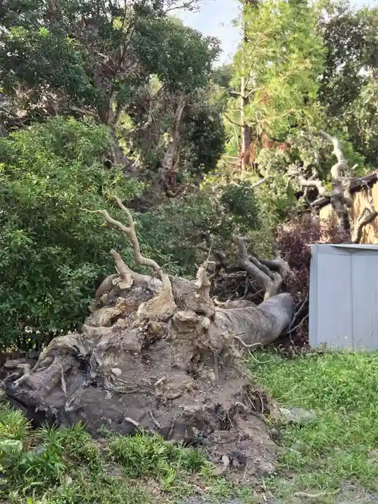 飯室乃神社(静岡県)