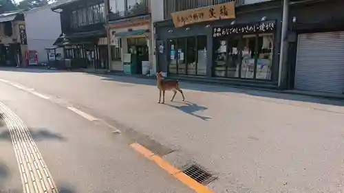 厳島神社の周辺