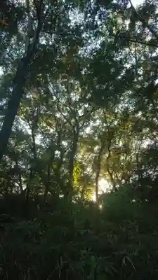 豊福稲荷社の周辺