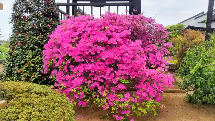 休臺寺(埼玉県)