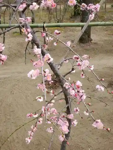白幡天神社(千葉県)