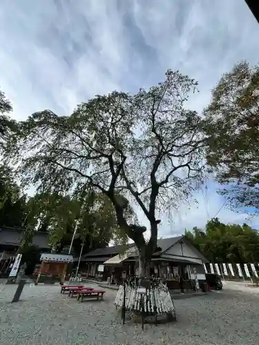 秋保神社(宮城県)