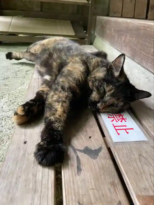 小松寺(千葉県)