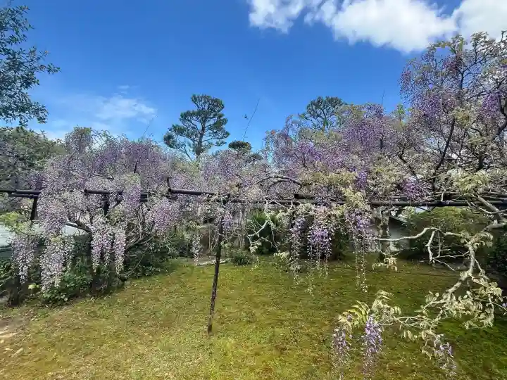 子安地蔵寺の{uncategorized: "未分類", other: "その他", undefined: "問題あり", building: "その他建物", grave: "お墓", sacred_gate: "鳥居", guardian: "狛犬", statue: "像", buddha: "仏像", history: "歴史", nature: "自然", garden: "庭園", animal: "動物", pagoda: "塔", temizu: "手水舎", mountain_gate: "山門・神門", sanctuary: "本殿・本堂", subordinate: "末社・摂社", art: "芸術", scenery: "景色", jizo: "地蔵", ema: "絵馬", goshuin: "御朱印", omikuji: "おみくじ", items: "授与品その他", amulet: "お守り", goshuincho: "御朱印帳", eats: "食事", festival: "お祭り", votive_dance: "神楽", shichigosan: "七五三参", wedding: "結婚式", experience: "体験その他", initially: "初詣", around: "周辺", anti_infection: "感染症対策"}