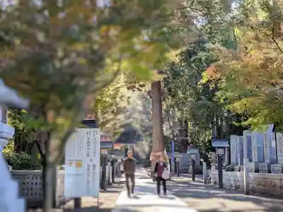 石鎚神社 口之宮 本社(愛媛県)