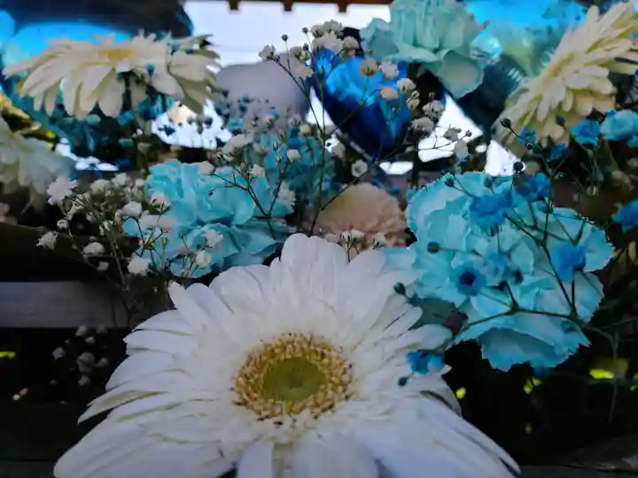 豊景神社の手水舎