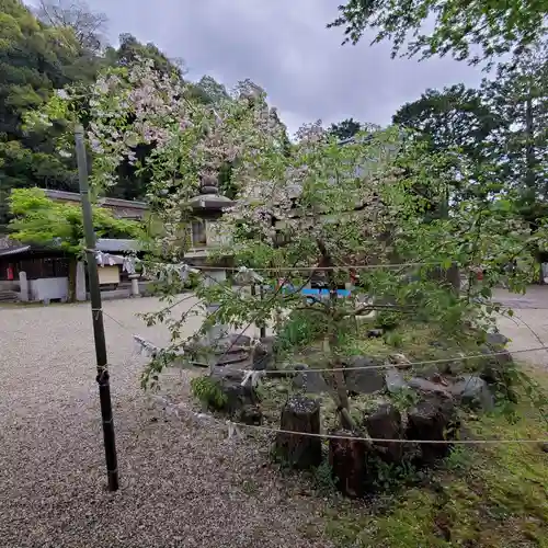 長等神社の自然