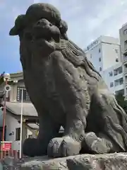 浅草神社の狛犬