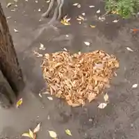 彌彦神社 (伊夜日子神社)(北海道)