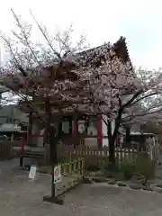 瀧泉寺（目黒不動尊）の山門