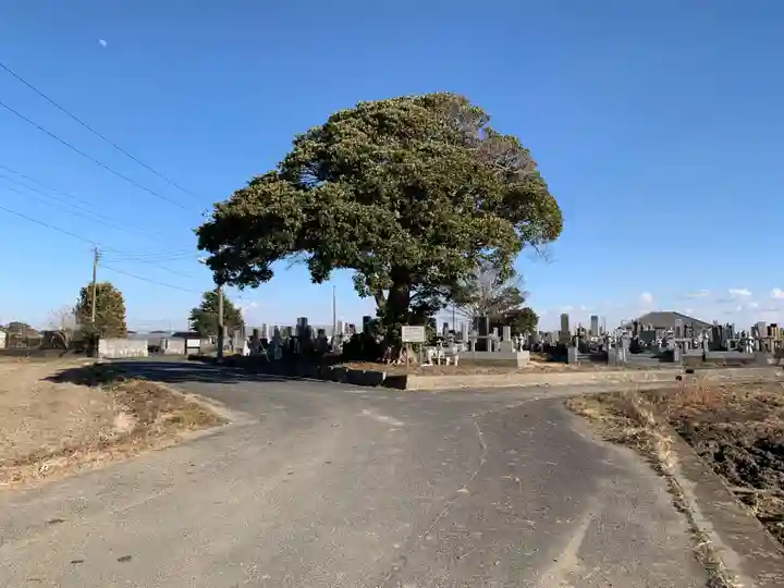 真光寺(千葉県)
