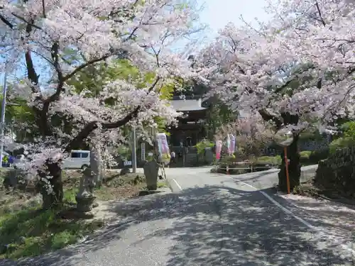 福光園寺の自然