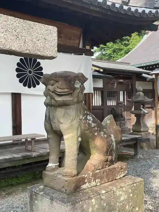 泉穴師神社の狛犬