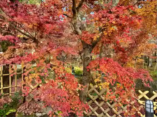 禅林寺（永観堂）(京都府)