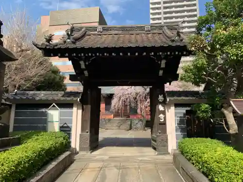 善性寺の山門