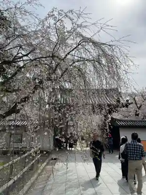 醍醐寺の山門・神門