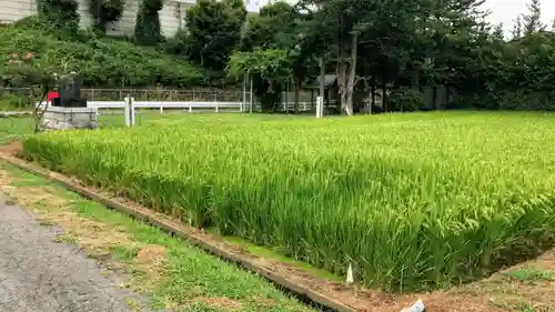 藤島社の建物その他