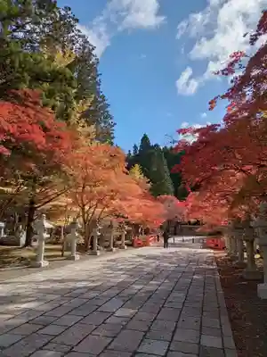 高野山金剛峯寺奥の院(和歌山県)