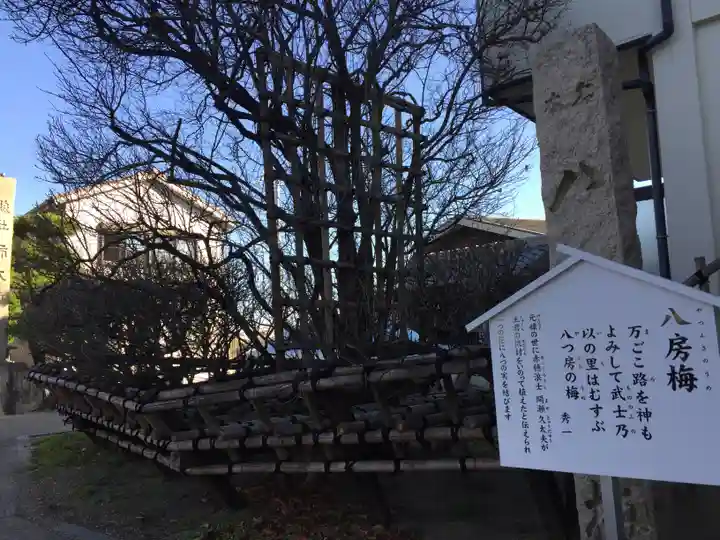 柿本神社の自然