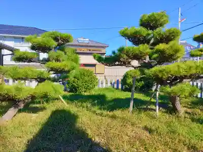 神明神社（上中町長間）の自然