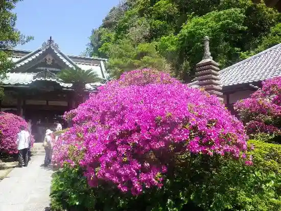 安養院 (田代寺)の自然
