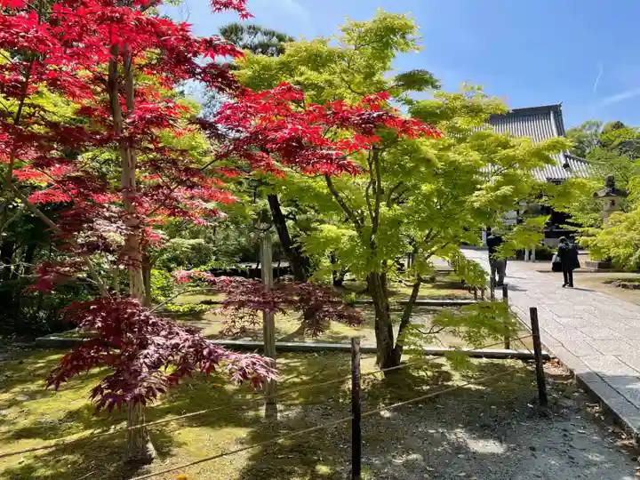 光明寺(粟生光明寺)(京都府)