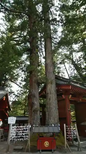 日光二荒山神社の自然
