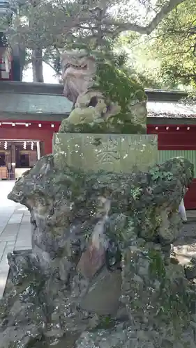 大國魂神社の狛犬