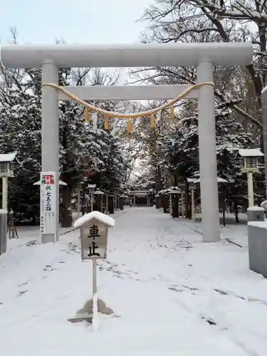 新琴似神社の鳥居