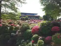 根津神社(東京都)