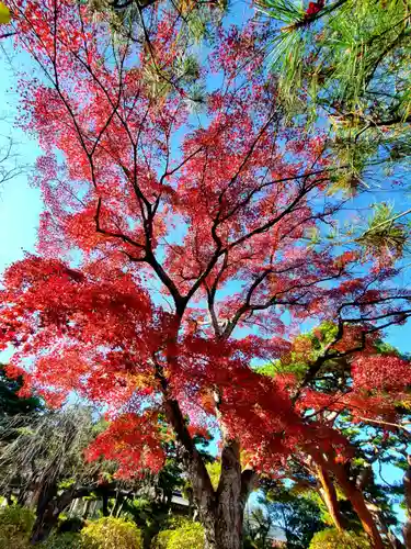 開成山大神宮(福島県)
