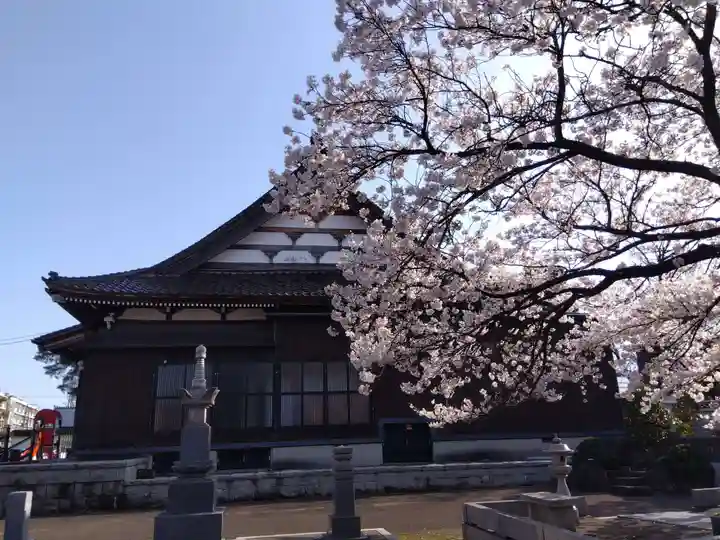 井波園瑞泉寺(新潟県)
