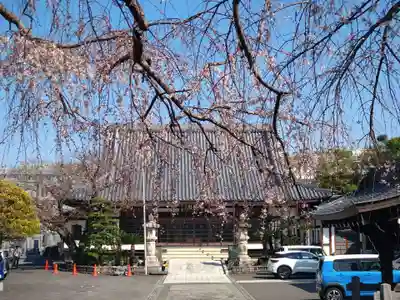 大正寺(静岡県)