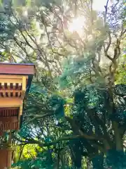 猿田神社の自然