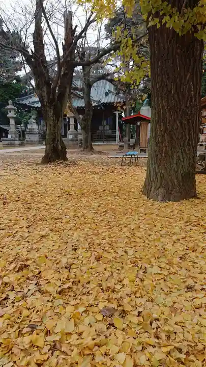 鶴峯八幡宮の自然