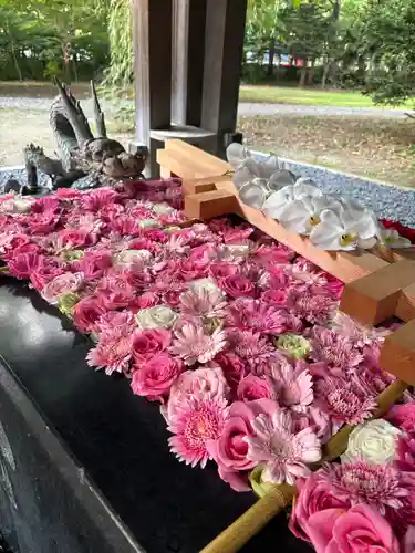 帯廣神社の手水舎