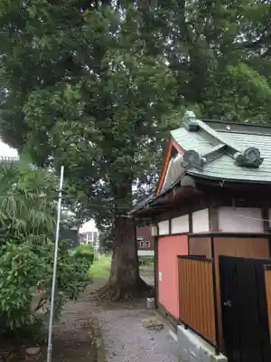 稲荷神社(埼玉県)