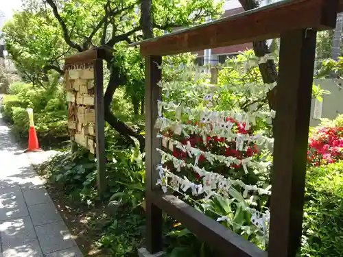 鳩森八幡神社のおみくじ