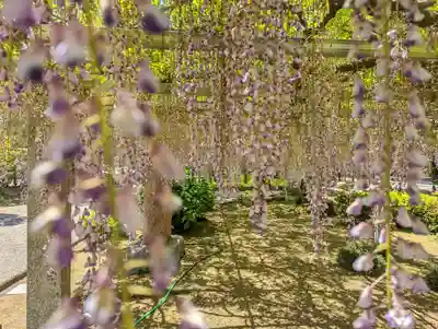三大神社(滋賀県)