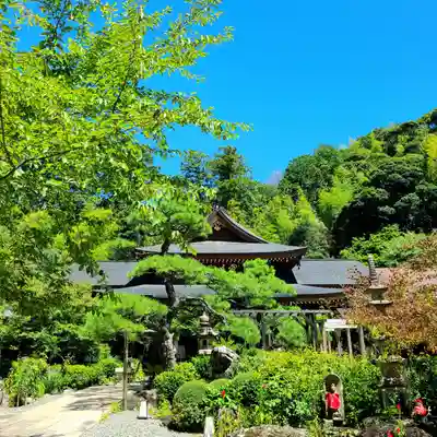 目の霊山　油山寺(静岡県)