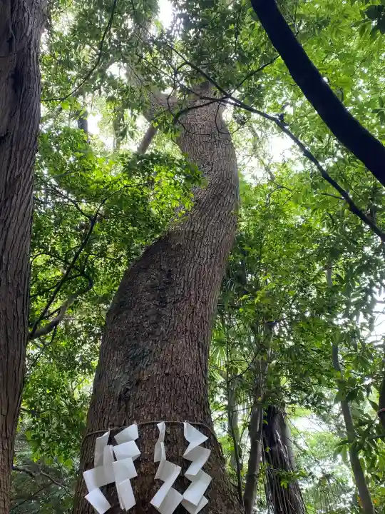 柴崎神社(千葉県)