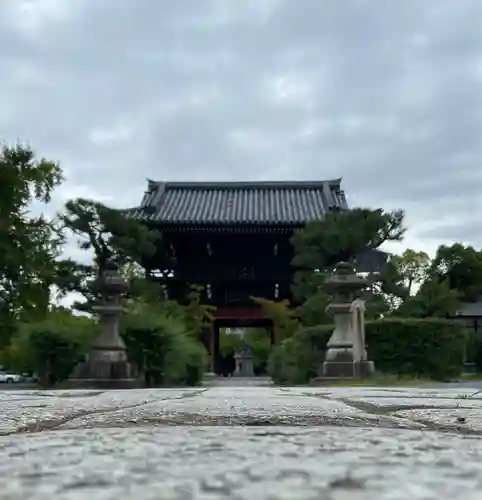 頂妙寺(京都府)