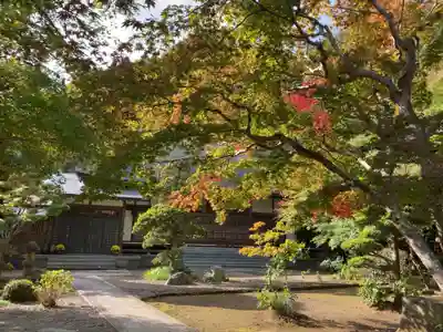 宝蓮寺(神奈川県)