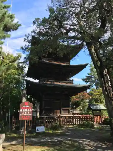 信濃國分寺のその他建物