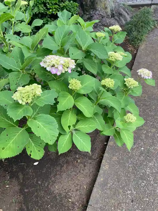 観音寺(神奈川県)