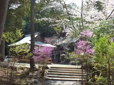 春日神社の自然