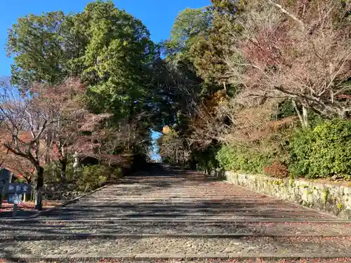 光明寺（粟生光明寺）(京都府)