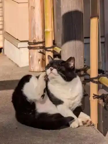 白金氷川神社(東京都)
