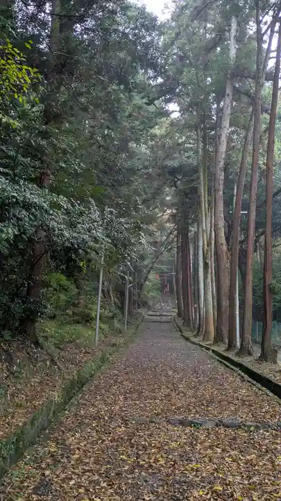 若山神社(大阪府)