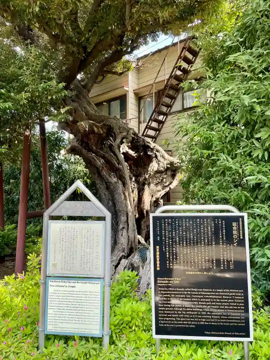 延命院(東京都)